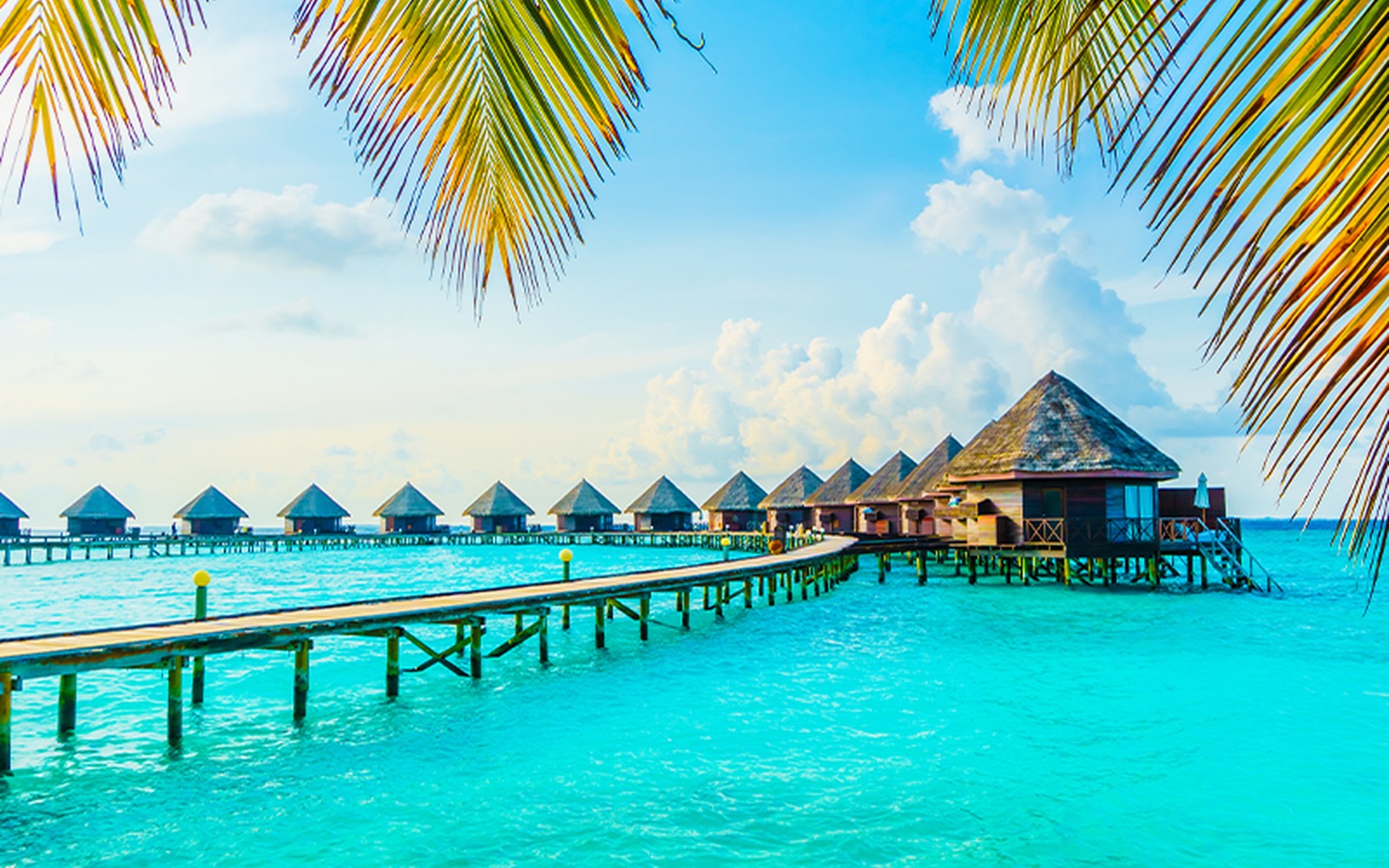 Honeymoon Adventures